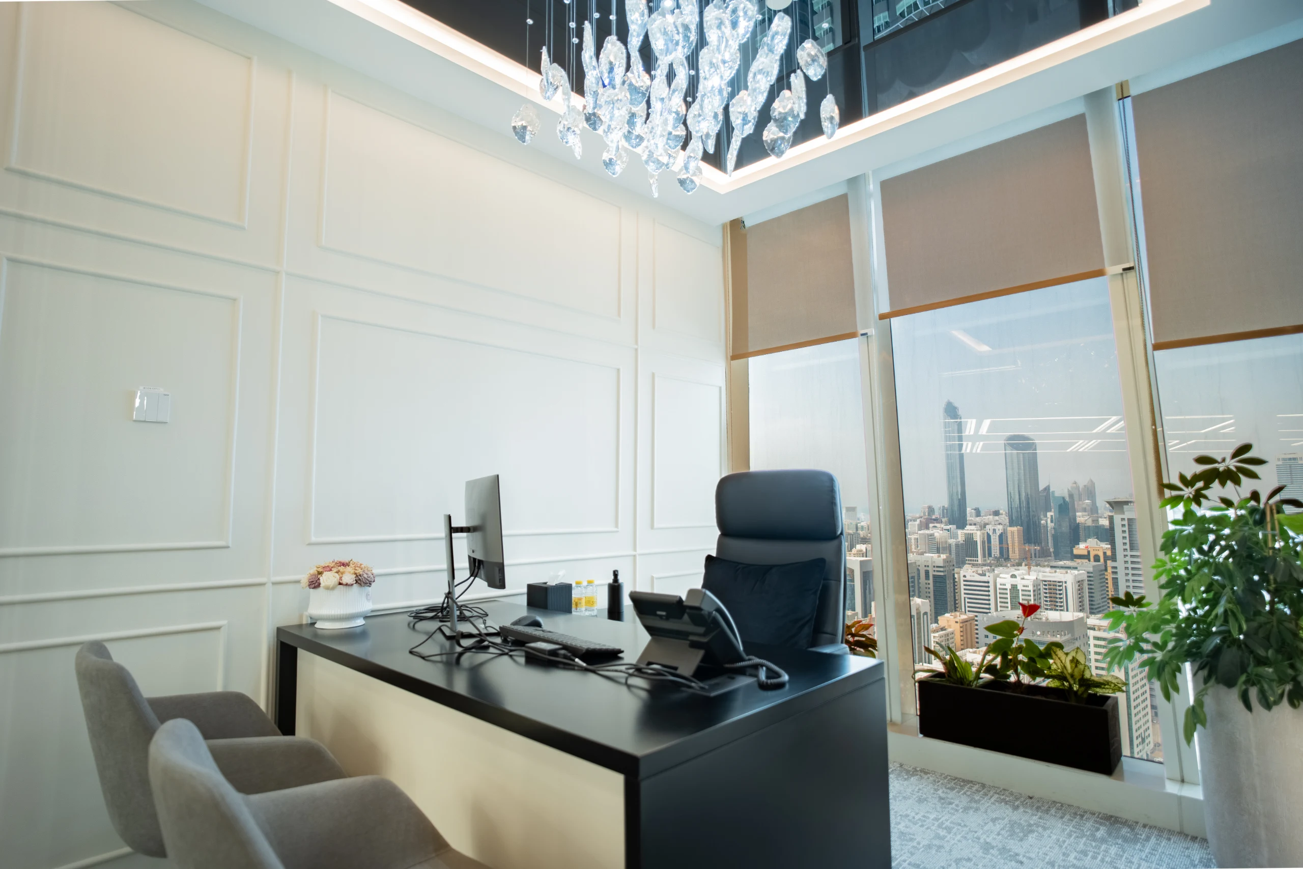 CEO Office